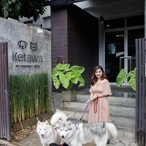Ketawa Pet Friendly Hotel